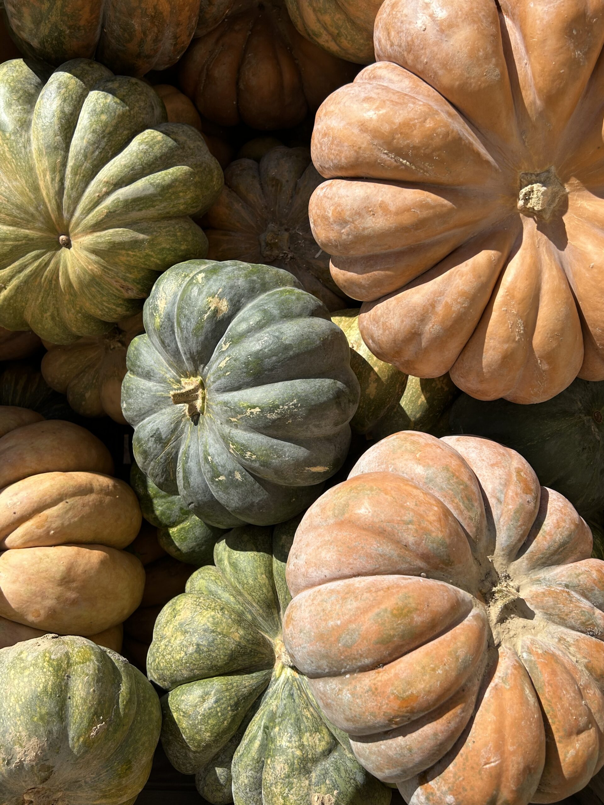 La carte de la semaine du 6 novembre ! | FOUD