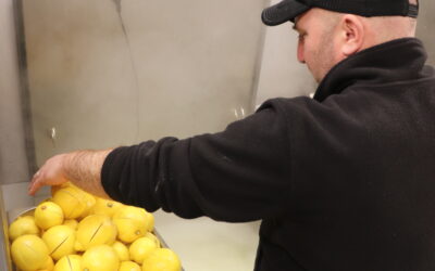 Comment on prépare nos plats chez FOUD : coulisses d’une cuisine du matin